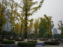 -两江幸福广场