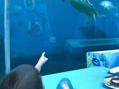 -海棠湾洲际-涛·海底餐厅·美人鱼·自助餐·海底隧道