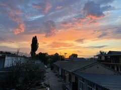 -蘑菇拌面•正宗新疆菜