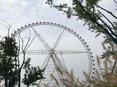 -祥源·阜阳生态乐园