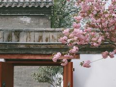 -荣国府