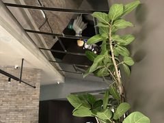 -望京辣宴·古法川菜(望京店)