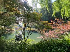 -岳麓山风景名胜区