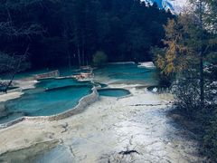 -黄龙山原始森林景区