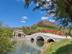 -芦芽山旅游度假区