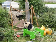 -青藏高原野生动物园