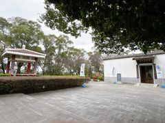 -金鸡山公园