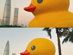 -深圳人才公园