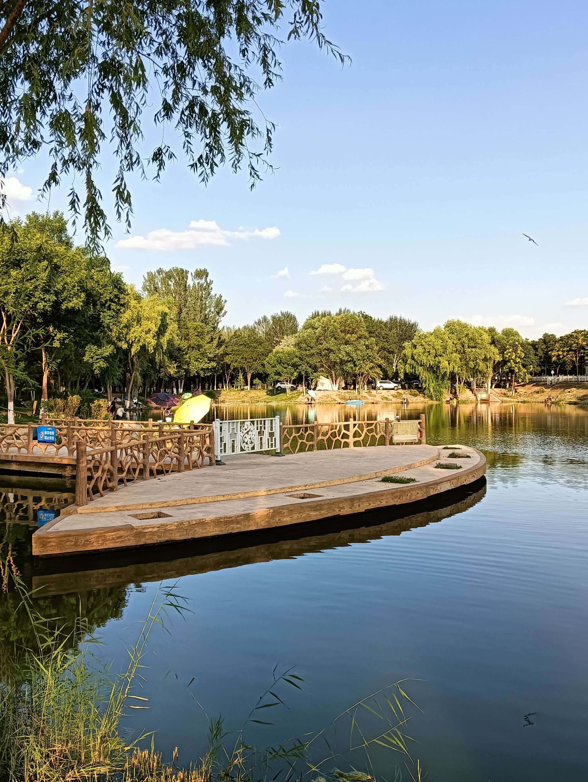 这家的手抓羊肉真是太好吃了