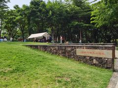 -王借岗森林公园