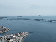 -大连君悦酒店·星海湾壹号Dalian·Dalian(星海广场店)