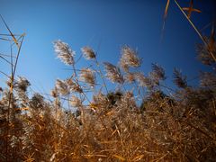 -中关村生命科学园