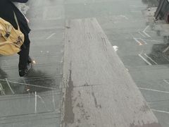-广州火车站(地铁站)