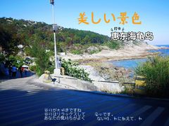 -广东惠东海龟国家级自然保护区