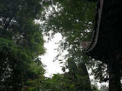 -大妙火锅·非物质文化遗产(东湖公园店)