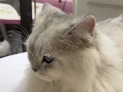 -FAELING PETS美天灵宠物(富力广场店)