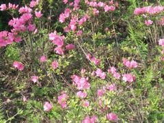 -白鹭湾湿地公园