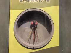 -天津自然博物馆