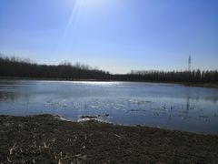 -东郊湿地公园
