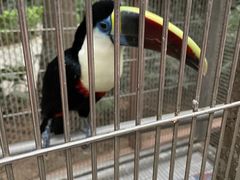 -南宫五洲植物乐园