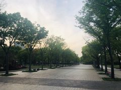 -新江湾城公园
