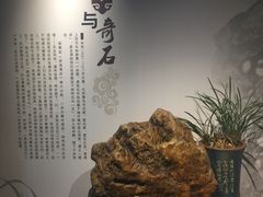 -梁园