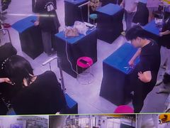 -优缇多格专业宠物美容师培训学校