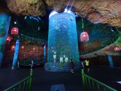 -青岛嘉年华主题乐园