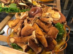 -易门野生菌府·菌海森林(月牙潭公园店)