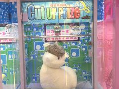 -PAWTOY爪e玩偶店(天兴罗斯福店)