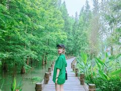 -桤木河湿地公园