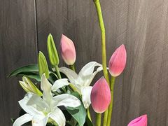 -汐悦汇足疗·星级·订制·唤醒SPA(西客站)