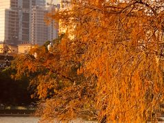 -肥妹烧腊店(洪湖店)