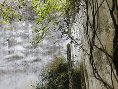 -艺圃