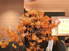 -东北范·金牌肘子·杀猪菜(美乐城店)