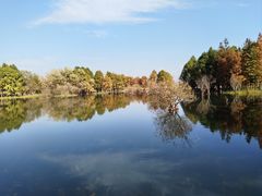 -贡湖湾湿地公园