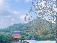 景点-珠海圆明新园