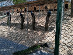 -北京鹿世界主题园