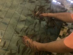 -汕头莲花山度假村温泉
