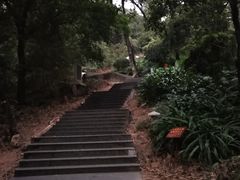 -罗三妹山
