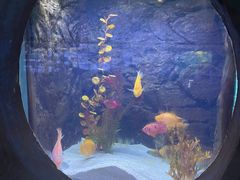 -梦幻海洋王国(吾悦广场张家港店)