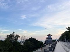 -福田红树林生态公园