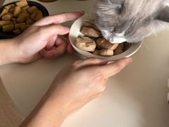 -帕帕拉兹宠物(亚洲旗舰店)