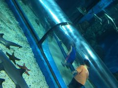 -福州罗源湾海洋世界旅游区