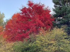 景点-长春市南湖公园