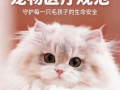 -美联众合动物医院·24h转诊中心