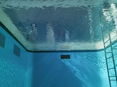 -金泽21世纪美术馆