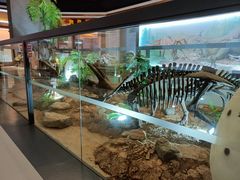 -抱璞文化展示中心