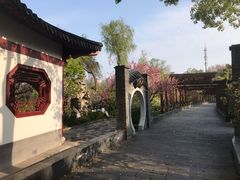 -南汇桃花村