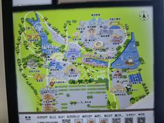 -淄博花灯齐彩城